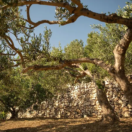 Kuk Oaza Villa