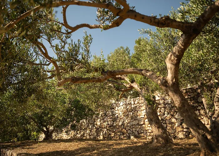 Kuk Oaza Villa